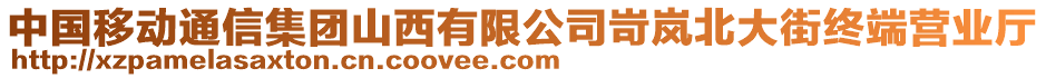 中国移动通信集团山西有限公司岢岚北大街终端营业厅