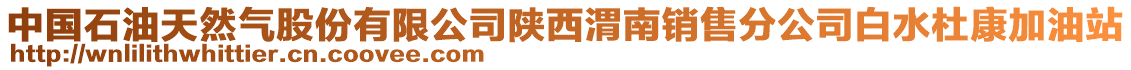 中國石油天然氣股份有限公司陜西渭南銷售分公司白水杜康加油站