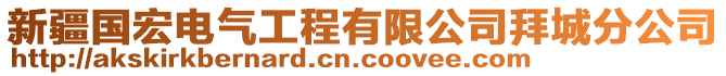 新疆國(guó)宏電氣工程有限公司拜城分公司