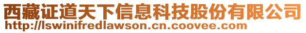 西藏证道天下信息科技股份有限公司