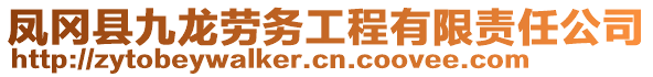 鳳岡縣九龍勞務工程有限責任公司