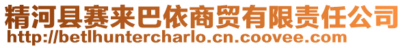 精河縣賽來巴依商貿(mào)有限責(zé)任公司