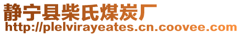 静宁县柴氏煤炭厂