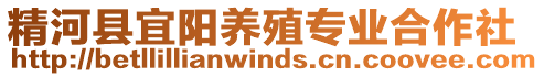 精河縣宜陽養(yǎng)殖專業(yè)合作社