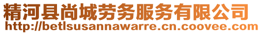 精河縣尚城勞務(wù)服務(wù)有限公司