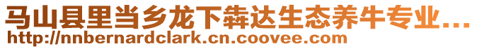 馬山縣里當鄉(xiāng)龍下犇達生態(tài)養(yǎng)牛專業(yè)...