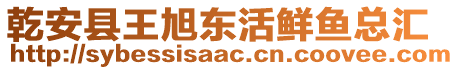 乾安县王旭东活鲜鱼总汇