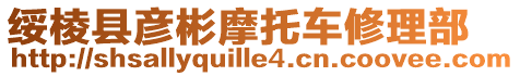 綏棱縣彥彬摩托車修理部