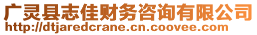 廣靈縣志佳財務咨詢有限公司