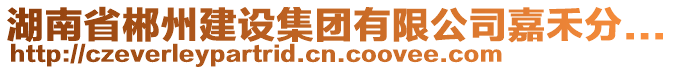 湖南省郴州建設(shè)集團有限公司嘉禾分...