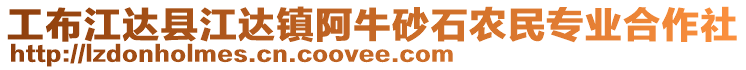 工布江達(dá)縣江達(dá)鎮(zhèn)阿牛砂石農(nóng)民專業(yè)合作社