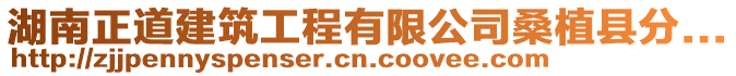 湖南正道建筑工程有限公司桑植縣分...