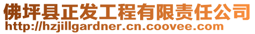 佛坪縣正發(fā)工程有限責任公司