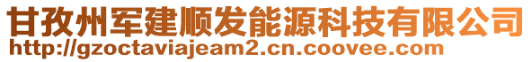 甘孜州軍建順發(fā)能源科技有限公司