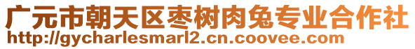 廣元市朝天區(qū)棗樹肉兔專業(yè)合作社