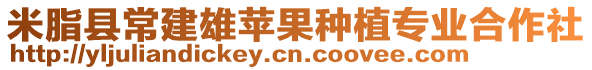 米脂縣常建雄蘋果種植專業(yè)合作社