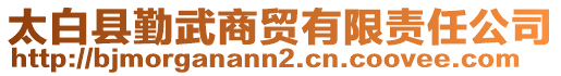 太白縣勤武商貿(mào)有限責(zé)任公司