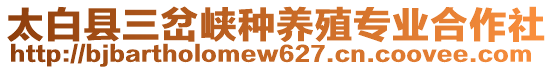 太白縣三岔峽種養(yǎng)殖專(zhuān)業(yè)合作社