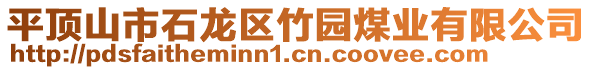 平頂山市石龍區(qū)竹園煤業(yè)有限公司