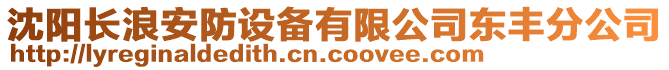 沈陽長浪安防設(shè)備有限公司東豐分公司