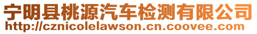 寧明縣桃源汽車檢測(cè)有限公司