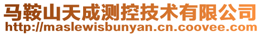 馬鞍山天成測控技術(shù)有限公司