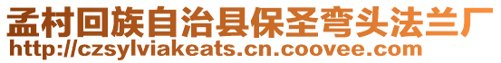 孟村回族自治縣保圣彎頭法蘭廠