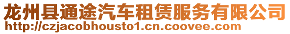 龙州县通途汽车租赁服务有限公司