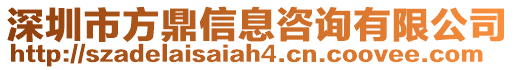 深圳市方鼎信息咨詢有限公司