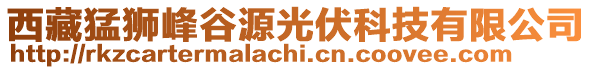 西藏猛狮峰谷源光伏科技有限公司