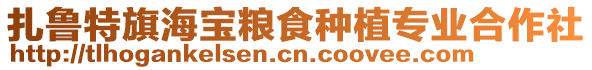 扎魯特旗海寶糧食種植專業合作社