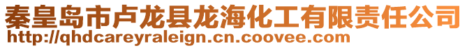 秦皇島市盧龍縣龍?；び邢挢?zé)任公司