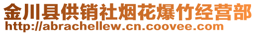 金川縣供銷社煙花爆竹經(jīng)營部