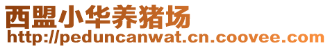西盟小華養豬場