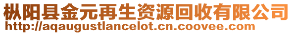 樅陽縣金元再生資源回收有限公司