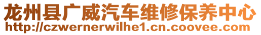 龙州县广威汽车维修保养中心