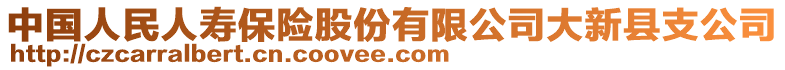 中國人民人壽保險股份有限公司大新縣支公司