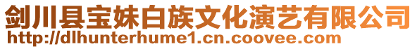 劍川縣寶妹白族文化演藝有限公司