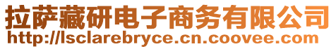 拉萨藏研电子商务有限公司