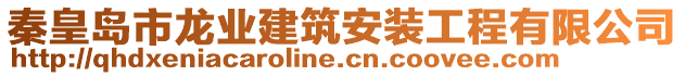 秦皇島市龍業(yè)建筑安裝工程有限公司