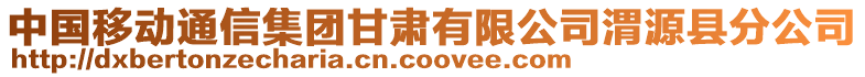 中國移動通信集團甘肅有限公司渭源縣分公司