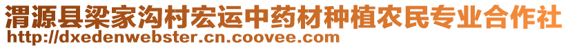 渭源縣梁家溝村宏運中藥材種植農民專業(yè)合作社