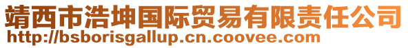 靖西市浩坤國際貿(mào)易有限責(zé)任公司