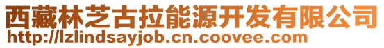 西藏林芝古拉能源開發有限公司