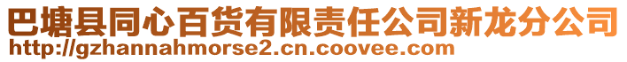 巴塘縣同心百貨有限責任公司新龍分公司
