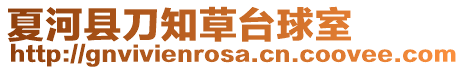 夏河縣刀知草臺球室