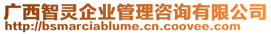 廣西智靈企業(yè)管理咨詢有限公司