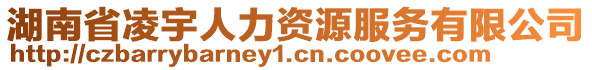 湖南省凌宇人力資源服務有限公司