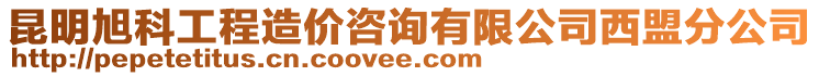 昆明旭科工程造價咨詢有限公司西盟分公司