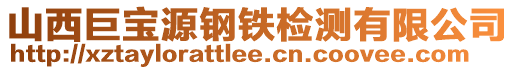 山西巨寶源鋼鐵檢測有限公司